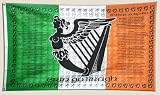 Flagge Irland Ireland Soldiers - 90 x 150 cm