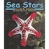Sea Stars (Ocean Life)