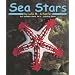Sea Stars (Ocean Life)