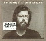 In the Falling Dark