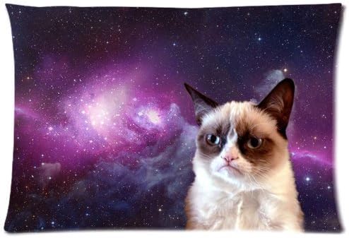 1AlexStore Pillowcase Standard 20x30 Inch two Sides Zippered Pillow Cover Grumpy Cat (6)