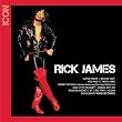 Icon: Rick James