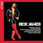 Icon: Rick James