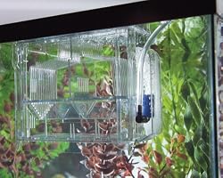 TOM Aquarium Accessories Baby Nursery (live bearer & isolation container)