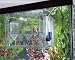 TOM Aquarium Accessories Baby Nursery (live bearer & isolation container)