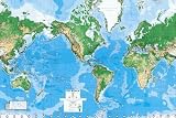 Environmental Graphics Giant World Map Wall Mural