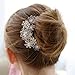 CAETLE® Beautiful Jewelry Flowers Crystal Hair Clip with CAETLE Box