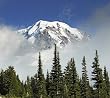 Beautiful Mount Rainier from Spray Park - Evocative 16x20 Photographic Print by Brendan Reals