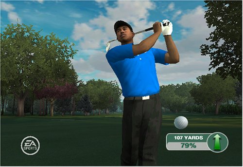 Tiger Woods PGA Tour 09 All-Play image