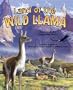 Land of the Wild Llama: A Story of the Patagonian Andes - a Wild Habitats Book (Soundprints Wild Habitat Collection)