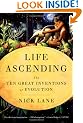 Life Ascending