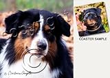 Australian Shepherd Dog Drink Coasters - Tri Color