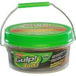Berkley Gulp