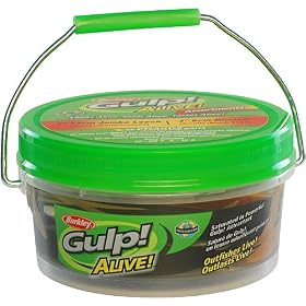 Berkley Gulp! Alive! Jumbo Leech/Minnow Assortment 18 OZ Bucket, 5-Inch/3-Inch, Assortment