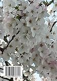月の詩　四の月 2016 (MyISBN - デザインエッグ社)