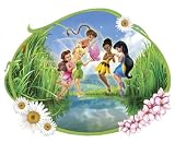 Blue Mountain Wallcoverings DMM2540 Fairy Glow in the Dark Self-Stick Mini Wall Mural