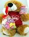 Love Sweater Teddy Bear Valentines Day Gift with Bag Brachs Fine Heart Candy 10