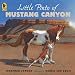 Books : Little Pinto of Mustang Canyon