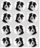 12 Dog Border Collie rice paper fairy / cup cake 40mm toppers pre cut decoration