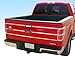 Made in USA! Compatible with 2009-2014 Ford F150 Pickup Tailgate Insert Chrome Stainless Steel Trim Molding Moulding 1