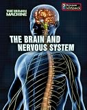 The Brain and Nervous System (Human Machine)