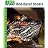 Red-Eared Sliders (Animal Planet Pet Care Library)