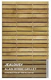 Jealousy (Oneworld Modern Classics)