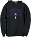 Search : Sacramento Kings NBA Embroidered Hooded Fleece By Reebok