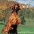 Irish Setters 2009 Wall Calendar
