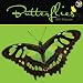Search : Butterflies 2011 Wall Calendar