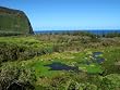 Lush Waipio Valley on the Big Island in Hawaii - Fine-Art Gicl??e Print of a Brendan Reals Photograph