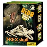 T Rex Skull - Dino Dig Kit