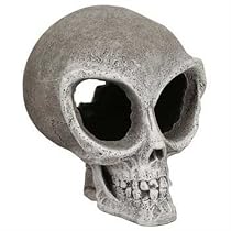 Exotic Environments Alien Skull, Small, 4-1/2-Inch by 5-1/2-Inch by 5-1/2-Inch
