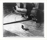 Historic Print (M): Night shadows / Edward Hopper.