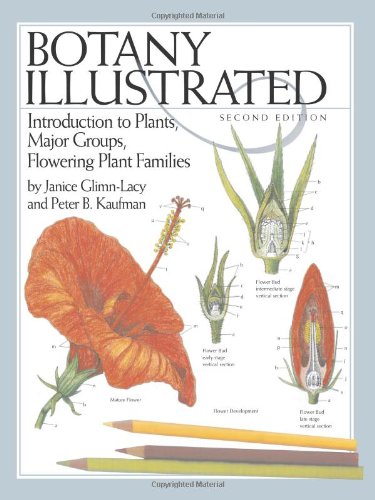 Botany Illustrated: Introduction to Plants, Major Groups, Flowering Plant Families