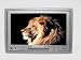 XO Vision XO27705 7-Inch TFT-LCD Wide Screen Headrest Monitor with Built-in IR for He...