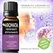 Organic 100% Pure Lavender (lavandula angustifolia) Bulgarian Essential Oil by AROMATA -- Enjoy the soothing, therapeutic health benefits of this premium-quality, undiluted, therapeutic-grade lavender oil and buy with confidence thanks to our 100% money-back guarantee. (15ml)