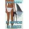 Romantic Suspense/Thriller - Government
