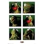 Muppets - TV Show Posters (6 Images of Kermit The Frog) (Size: 24'' x 36'')