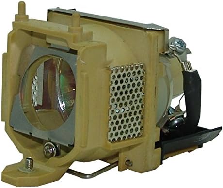 BenQ PB2240 Projector Cage Assembly with Original Projector Bulb