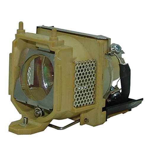BenQ PB2240 Projector Cage Assembly with Original Projector Bulb