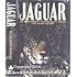 Jaguar: Struggle and Triumph in the Jungles of Belize