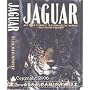Jaguar: Struggle and Triumph in the Jungles of Belize