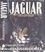 Jaguar: Struggle and Triumph in the Jungles of Belize
