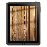 Amzer Soft Gel TPU Skin case for Apple iPad Tablet,(Grey)