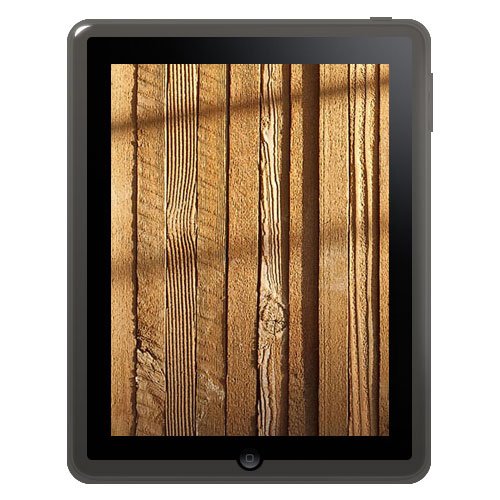 Amzer Soft Gel TPU Skin case for Apple iPad Tablet,(Grey)