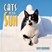 Cats in the Sun 2012 Mini (calendar)