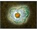 Photographic Print of Herpes virus particle, TEM from Science Photo Library