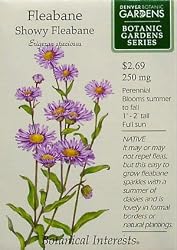 Showy Fleabane Botanic Gardens Series Seeds 75 Seeds