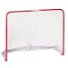 Sporting Goods : Franklin NHL Championship Steel Street Roller/Hockey Goal (48-Inch x 72-Inch)